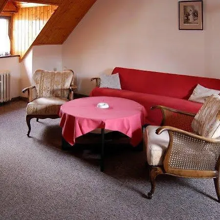 Goethe Hotel 3*