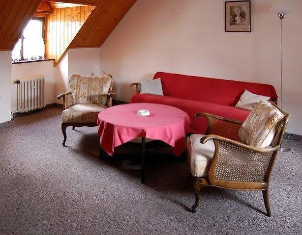 Goethe Hotel 3*