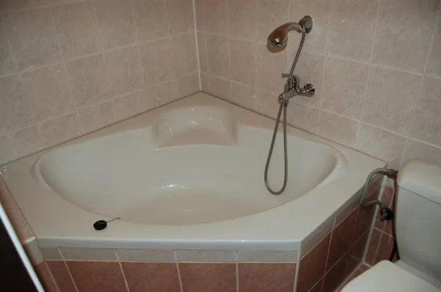 Hotel Goethe 3*